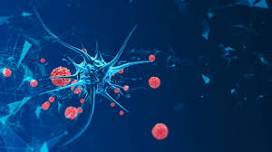 High Consequence & Emerging Infectious Disease (HCID/EID) Preparedness