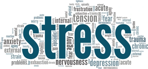 The Stress Ripple Effect